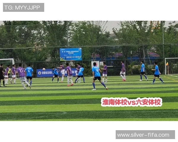 学校足球竞赛制度的构建与实施对青少年体育发展的影响与展望 学校足球竞赛制度的构建与实施对青少年体育发展的影响与展望