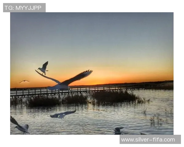 足球风云2：重燃绿茵激情的传奇之旅与梦想追逐